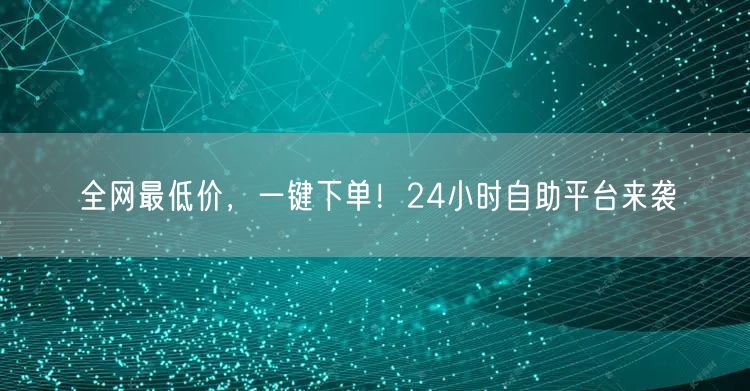 全网最低价，一键下单！24小时自助平台来袭