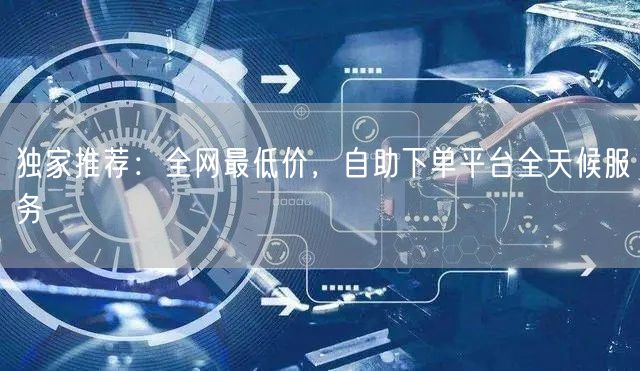 独家推荐：全网最低价，自助下单平台全天候服务