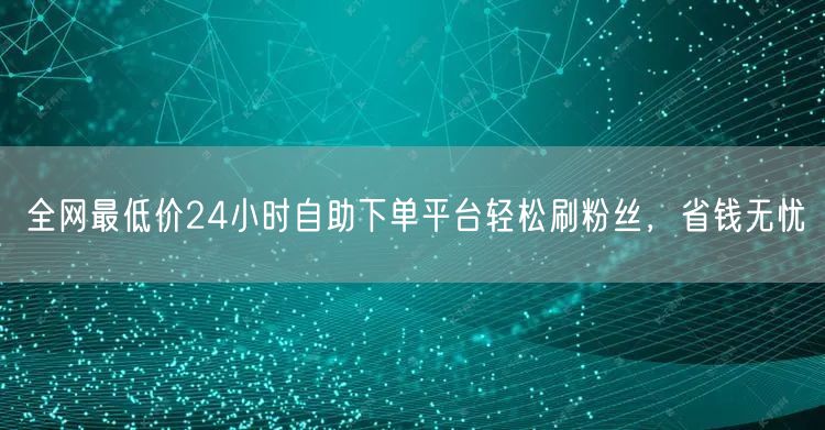 全网最低价24小时自助下单平台轻松刷粉丝，省钱无忧