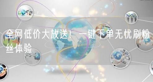 全网低价大放送！一键下单无忧刷粉丝体验