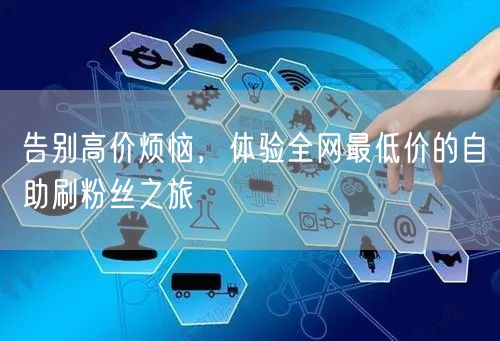 告别高价烦恼，体验全网最低价的自助刷粉丝之旅