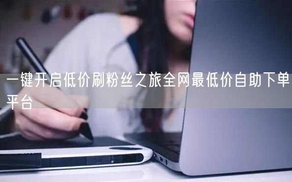 一键开启低价刷粉丝之旅全网最低价自助下单平台