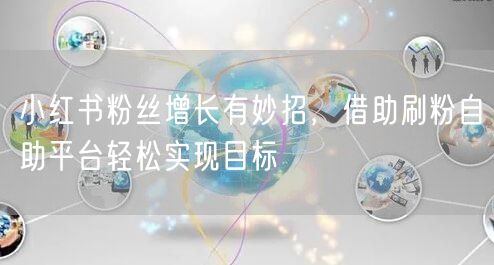 小红书粉丝增长有妙招，借助刷粉自助平台轻松实现目标