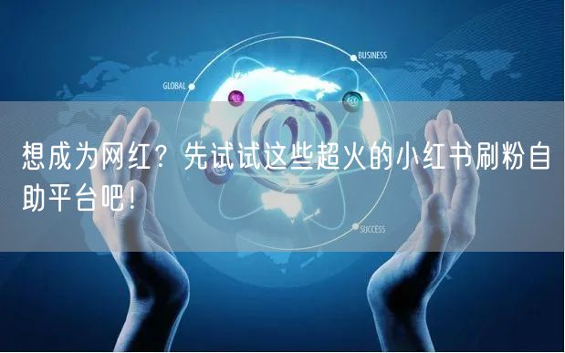 想成为网红？先试试这些超火的小红书刷粉自助平台吧！