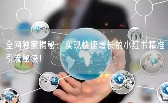 全网独家揭秘：实现快速增长的小红书精准引流秘诀！