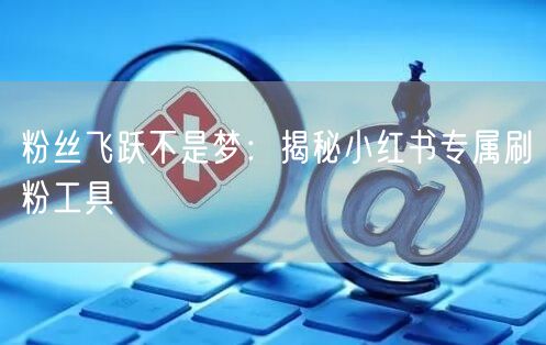 粉丝飞跃不是梦：揭秘小红书专属刷粉工具