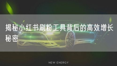 揭秘小红书刷粉工具背后的高效增长秘密