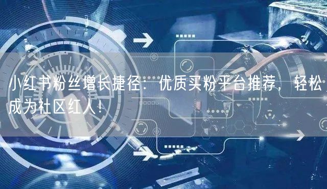 小红书粉丝增长捷径：优质买粉平台推荐，轻松成为社区红人！