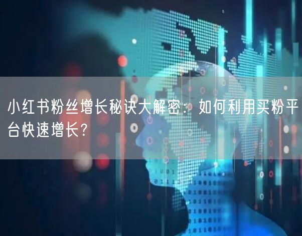 小红书粉丝增长秘诀大解密：如何利用买粉平台快速增长？
