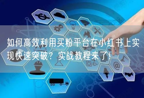 如何高效利用买粉平台在小红书上实现快速突破？实战教程来了！