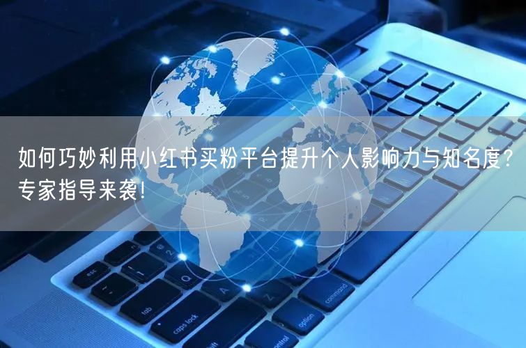 如何巧妙利用小红书买粉平台提升个人影响力与知名度？专家指导来袭！