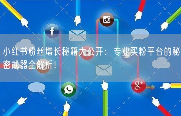 小红书粉丝增长秘籍大公开：专业买粉平台的秘密武器全解析！
