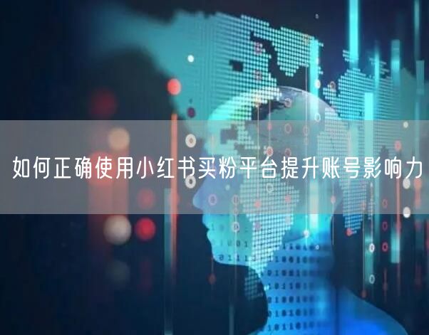 如何正确使用小红书买粉平台提升账号影响力