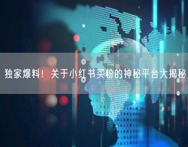 独家爆料！关于小红书买粉的神秘平台大揭秘