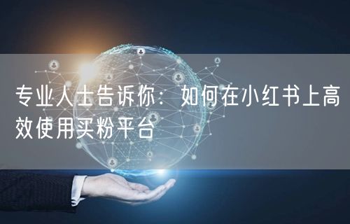 专业人士告诉你：如何在小红书上高效使用买粉平台