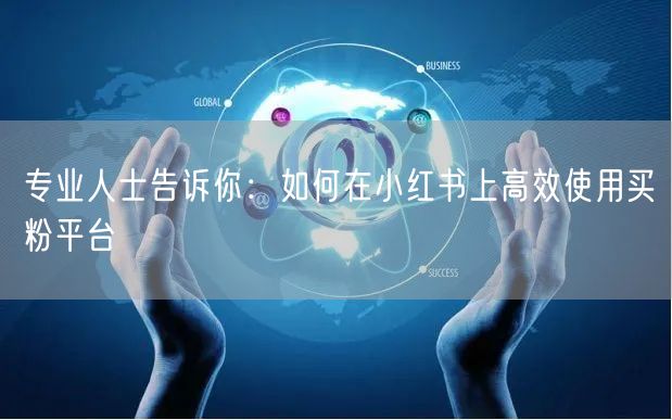 专业人士告诉你：如何在小红书上高效使用买粉平台