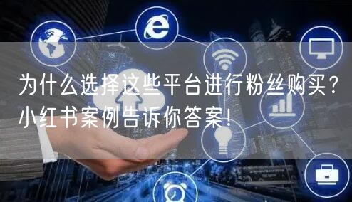 为什么选择这些平台进行粉丝购买？小红书案例告诉你答案！