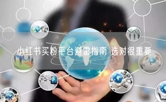 小红书买粉平台避雷指南 选对很重要