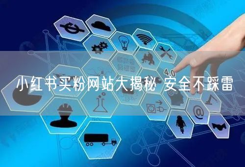 小红书买粉网站大揭秘 安全不踩雷