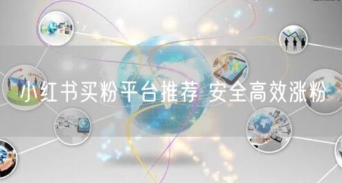 小红书买粉平台推荐 安全高效涨粉