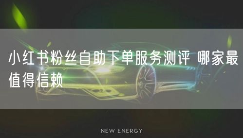 小红书粉丝自助下单服务测评 哪家最值得信赖