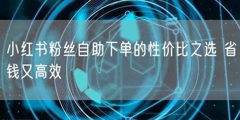小红书粉丝自助下单的性价比之选 省钱又高效