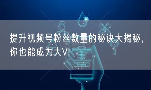 提升视频号粉丝数量的秘诀大揭秘，你也能成为大V!