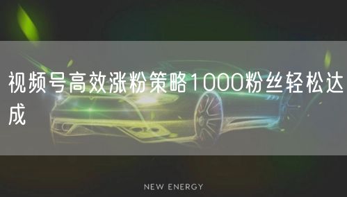 视频号高效涨粉策略1000粉丝轻松达成
